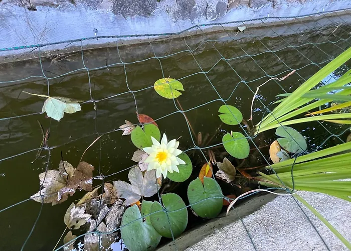 L'etoile Demi-pension Séjour chez l'habitant La Bastide-Puylaurent